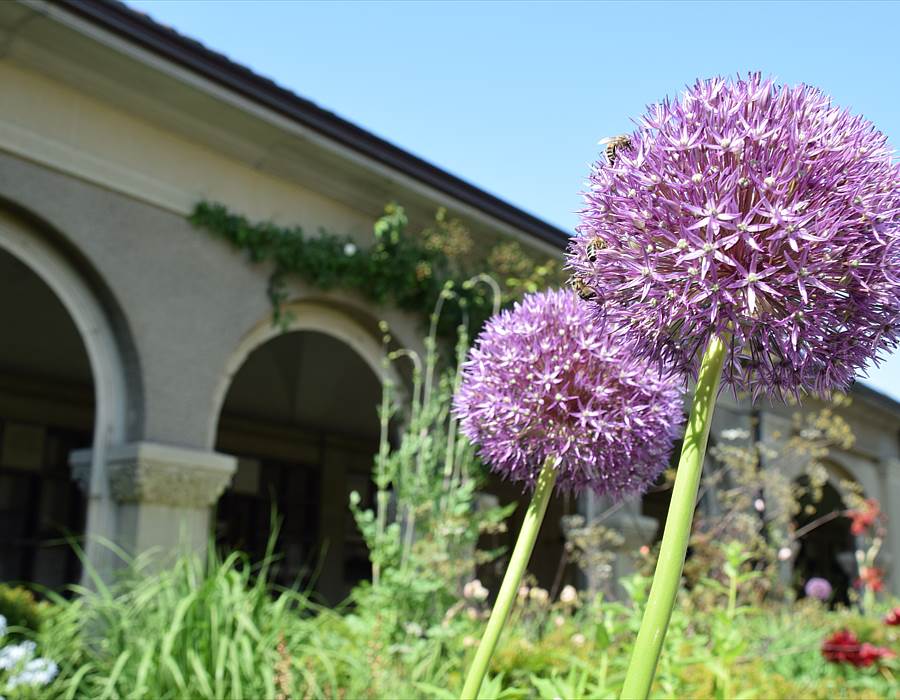 Krematorium Bern Urnenhalle II